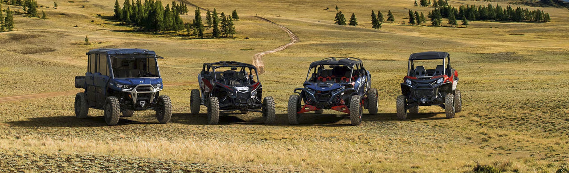 lorem ipsum dolor sit